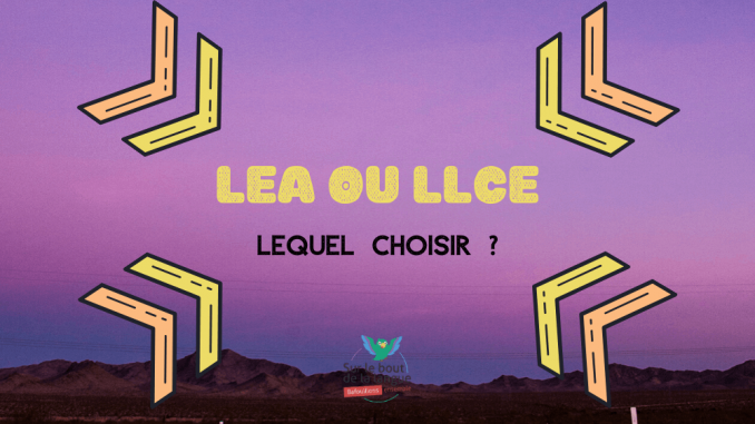 LEA OU LLCE_pageprincipale