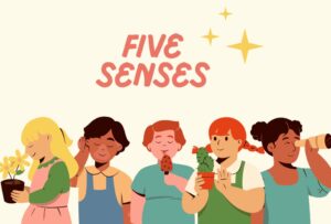 Les 5 sens en anglais
