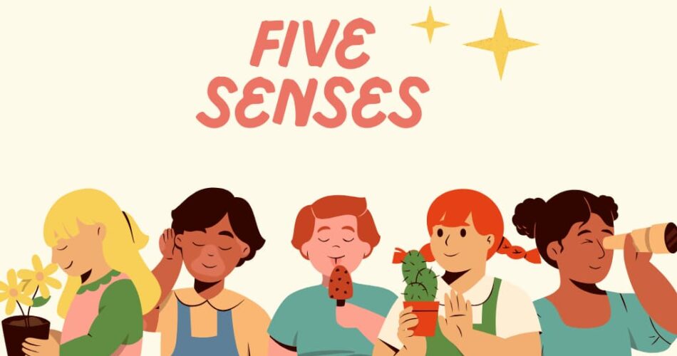 Les 5 sens en anglais