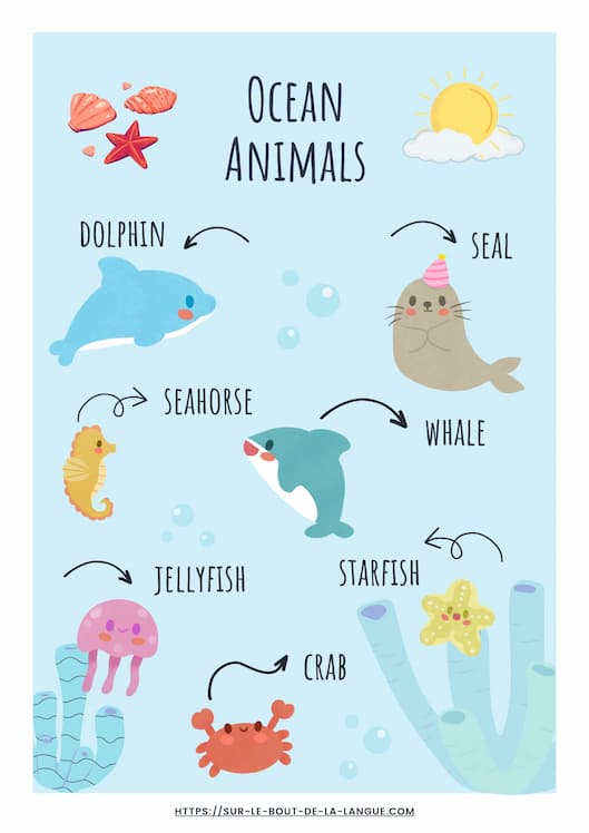 Les animaux en anglais - les animaux de l'ocean - aperçu