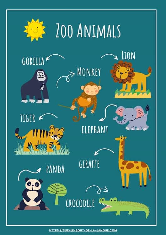 Les animaux en anglais - les animaux du zoo - aperçu